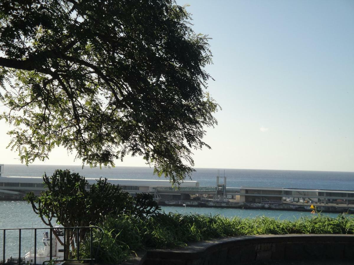 Violeta House Villa Funchal  Eksteriør billede