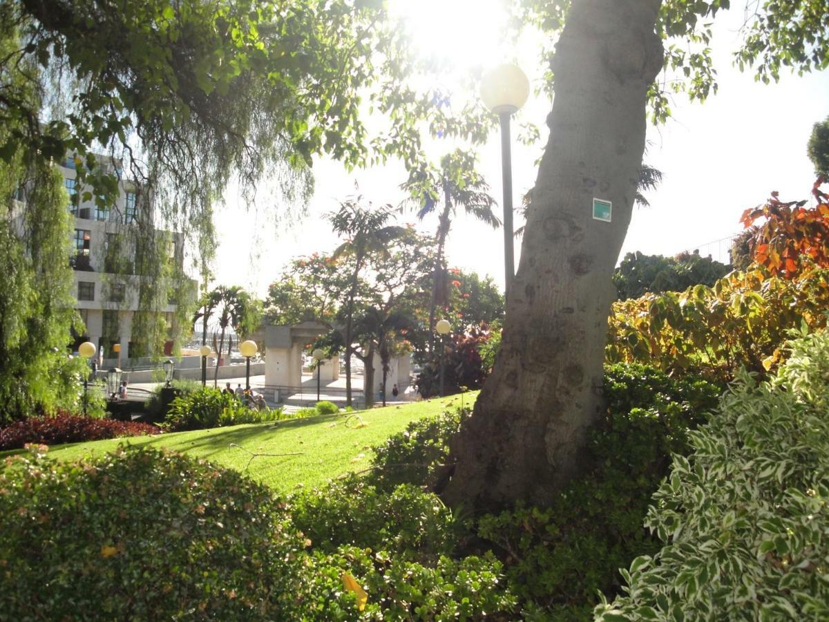 Violeta House Villa Funchal  Eksteriør billede